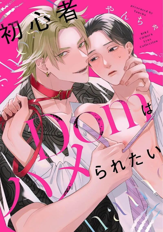 新手Dom想被上