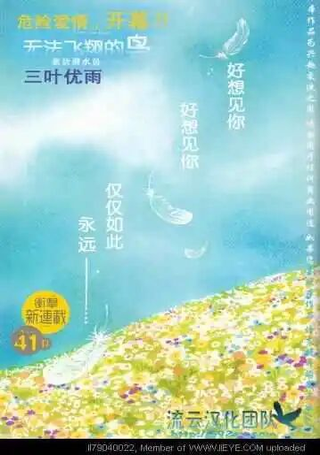 无法飞翔的鸟