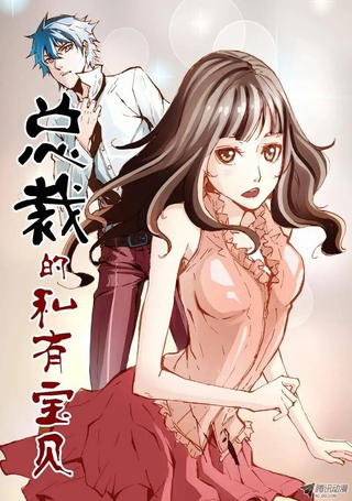 总裁的私有宝贝