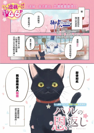 春的报恩