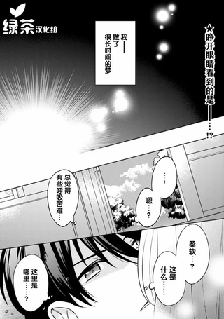 最强锻造师的传说武器（老婆）