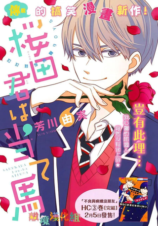 樱田君是试情马