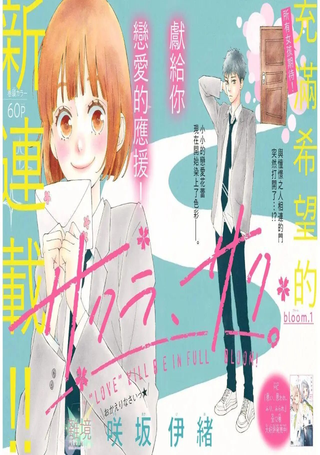 樱花、绽放