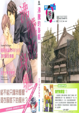 沸腾的身躯