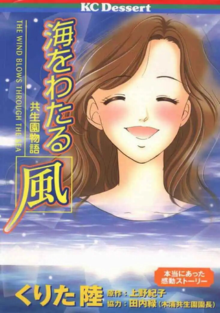 海上的风