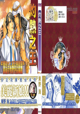 灼热之王