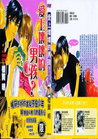爱上坏坏的男孩？
