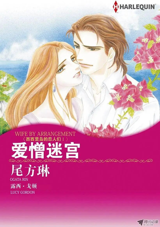 爱憎迷宫