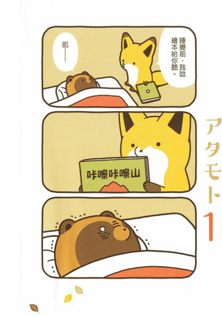 狐与狸