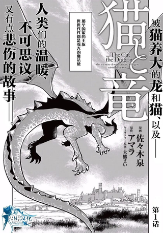 猫与龙