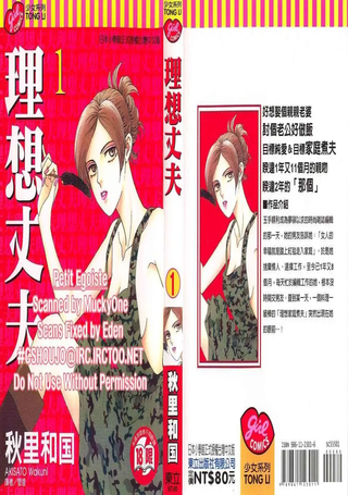 理想丈夫