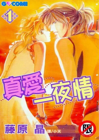真爱一夜情