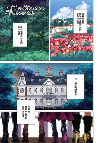 神童勇者和女仆姐姐