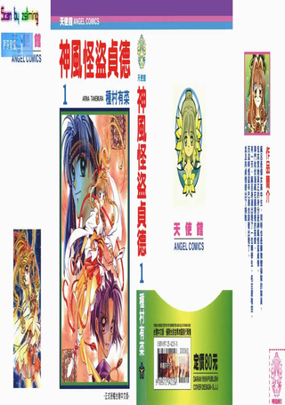 神风怪盗贞德