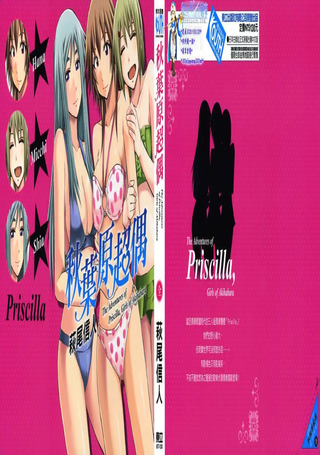 秋叶原超偶